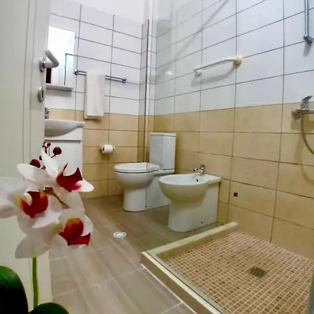 White Orchid