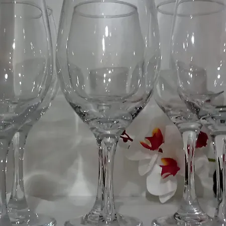 White Orchid شقة *